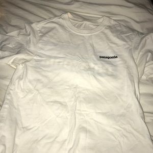 patagonia tshirt